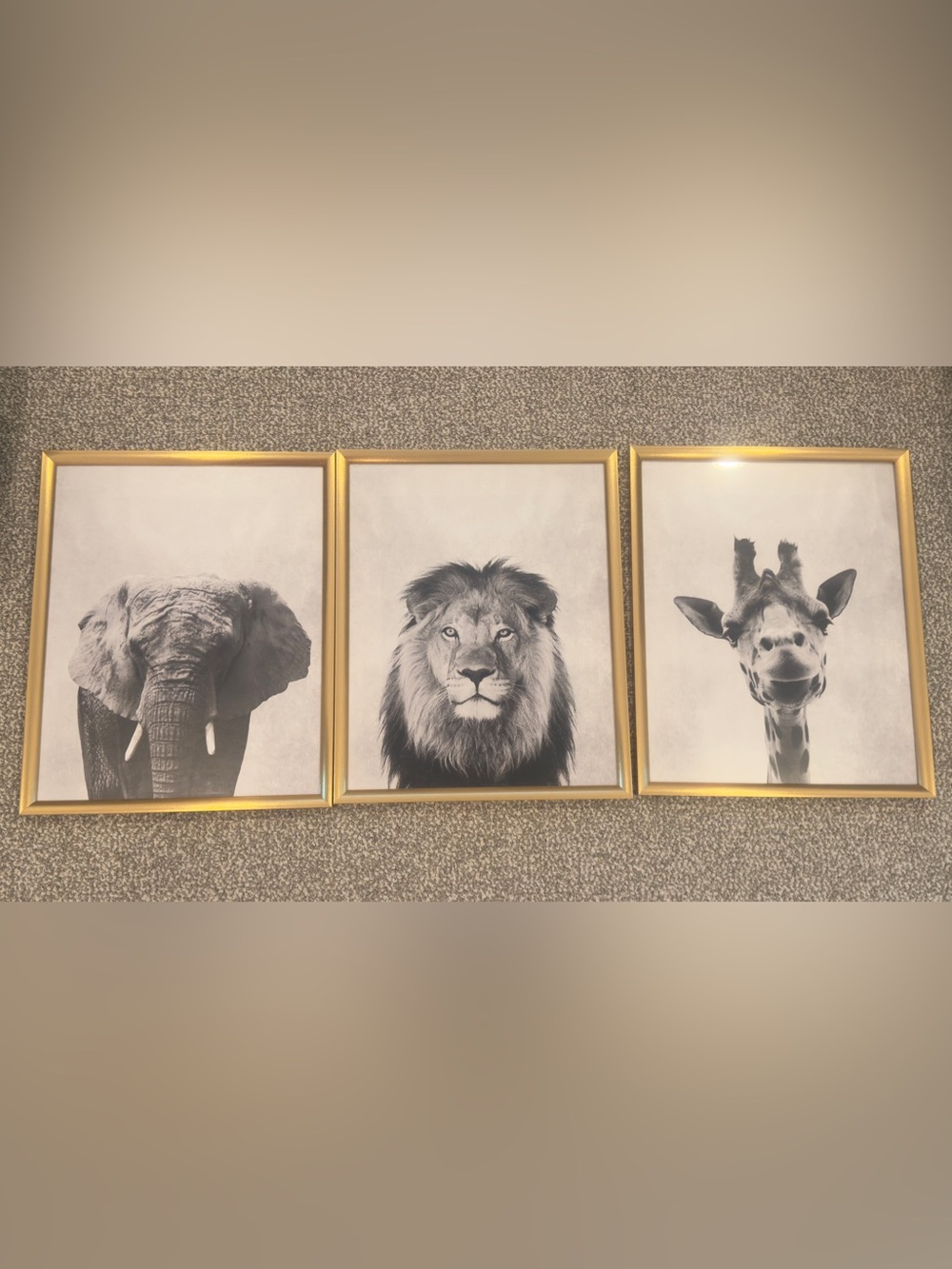 Set of 3 Gold Framed Black & White Safari Animal Prints